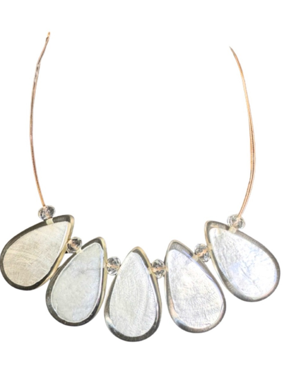 Shell inside Acrylic Casing on Gold Wire